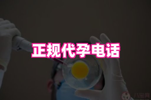长沙助孕网 1