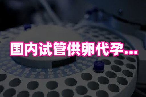 长沙助孕网 3